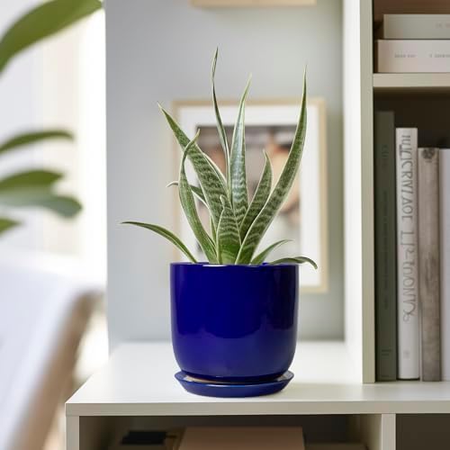 Succulent Pot 5 Inch - Modern Ceramic Planter for Indoor Plants with Drainage Hole and Saucer, Office Home Room Patio Decor, Blue - Image 5