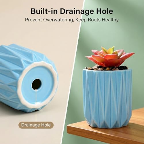 Succulent Plant Pots Ceramic Plant Pots and Drainage Hole Bonsai Planter Small Flower Pots for Indoor Outdoor Use for Home Office Garden Decoration,Plants Not Included (Blue) - Image 4