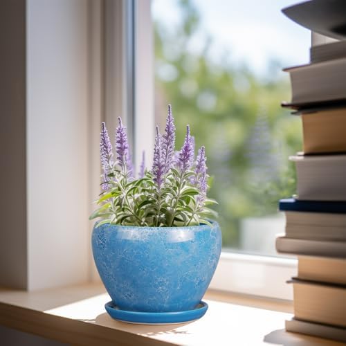 Ceramicfor 6 Inch Plant Pot - Ceramic Planter Pot with Drainage Hole and Saucer, Glaze Succulent Pot Modern Round Flower Pot for Indoor Plants, Blue - Image 6