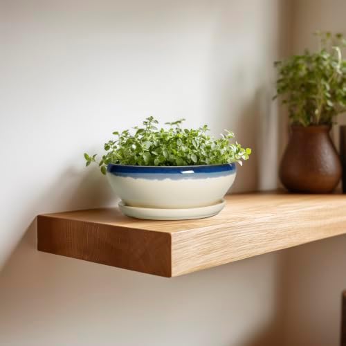 SQOWL Succulent Pots 6 Inch, Ceramic Bonsai Pots with Saucer, Blue-Beige - Image 4