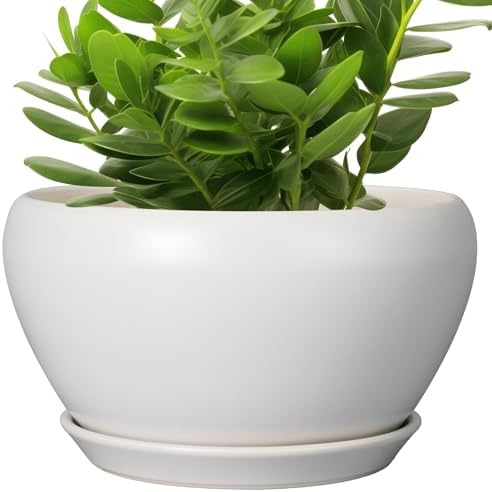 Ceramicfor Ceramic Planter for Indoor Plants - 11 Inch Plant Pot with Drainage Hole and Saucer Decorative Round Large Planter Pot for Plants Outdoor Flower Pot for Garden White by Ceramicfor
