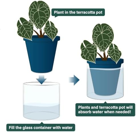 D'vine Dev Self-Watering Blue Terracotta Planter Pot, 6 in, 37-X-B-4 - Image 4