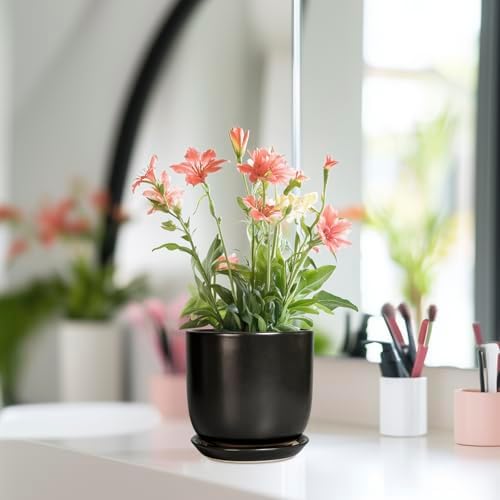 Ceramic Pot for Plants 5 Inch - Modern Round Indoor Planter for Cactus Succulent Plants with Drainage Hole and Saucer, Home Room House Office Decor, Black - Image 6