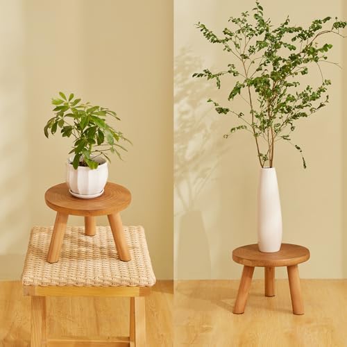 2 Pcs Plant Stand Indoor,11-12" Wood Plant Stand Holder with Growth Ring - Image 5