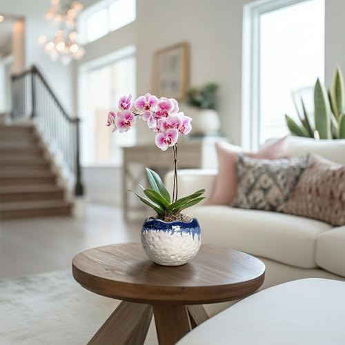 4 Inch Plant Pots, Ceramic Pots for Plants, Beige-Blue - Image 4