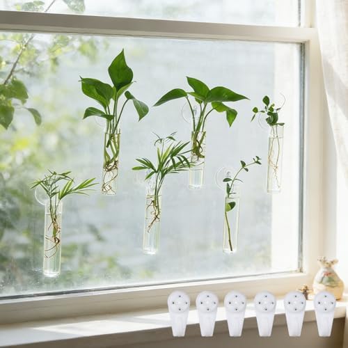 Bunmery 6 pcs Window Propagation Stations, Plant Propagation Tubes with suckion Cups & Nails, Easy to Install Wall Hanging Planter Propagation Station, Glass Plant Terrarium Vase by Unknown