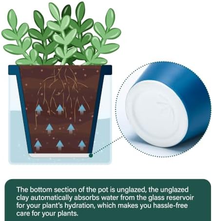 D'vine Dev Self-Watering Blue Terracotta Planter, 4 in, 2-Pack, 37-Y-A-4 - Image 5