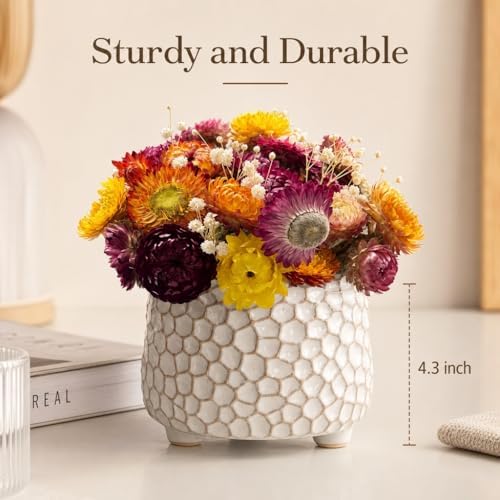 Rustic 4inch ceramic planter pot for succulent cactus and Indoor Plant - Image 5