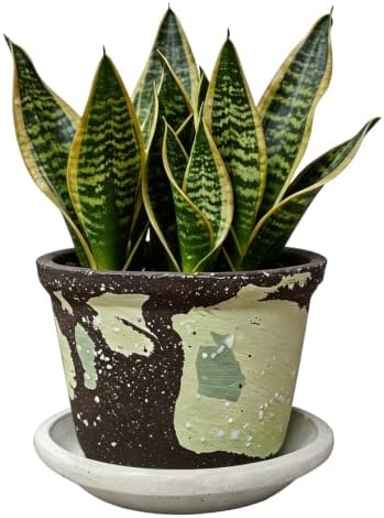 2.6 Inch Mini Ceramic Planter Pot with Drainage Hole and Saucer, Round Flower Pot for Indoor Plants, Cactus Herbs Windowsill Decor(Brown&Green) by DecoVlog