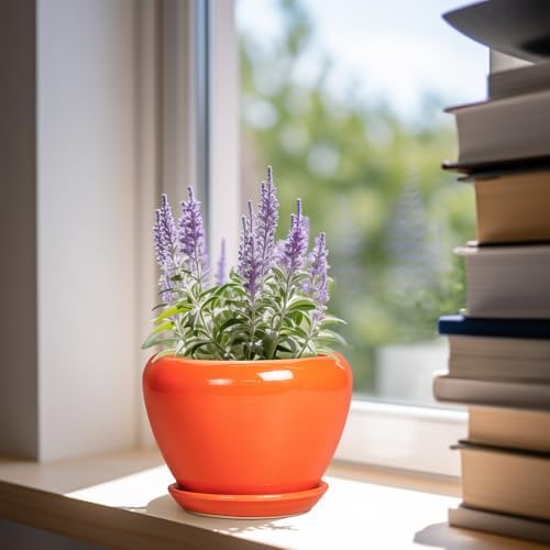 Ceramicfor Ceramic Plant Pot 6 Inch - Ceramic Planter for Indoor Plants Outdoor, Glaze Round Modern Flower Pot with Drainage Hole and Saucer, Gift for Plant Lover, Home Garden Room Decor, Orange - Image 2