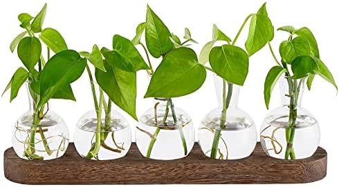 Mkono Plant Propagation Station, Desktop Glass 5 Bulb Vase Brown Wood Tray by Mkono