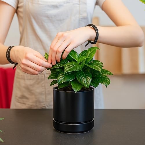 D'vine Dev 2-Pack Ceramic Pots with Saucers, Black, 4.7 in, 94-V-B-2 - Image 5