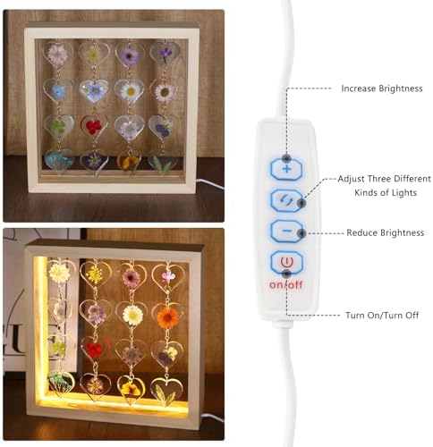 SMUK Resin Dried Flower LED Aesthetic Desk Lamp, Unique 3 Way Dimmable Natural Pressed Flower Table Lamp with Wooden Frame for Desk, Table, Nightstand, Bedroom, Living Room, Office - Image 5