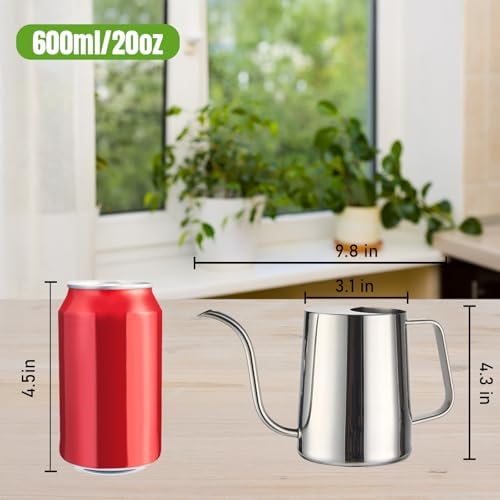 Doseno Indoor Watering Can, Long Spout Watering Can, Stainless Steel, 20 oz - Image 2