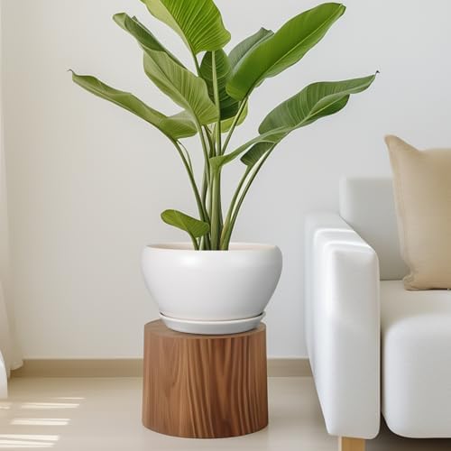 Ceramicfor Ceramic Planter for Indoor Plants - 11 Inch Plant Pot with Drainage Hole and Saucer Decorative Round Large Planter Pot for Plants Outdoor Flower Pot for Garden White - Image 7