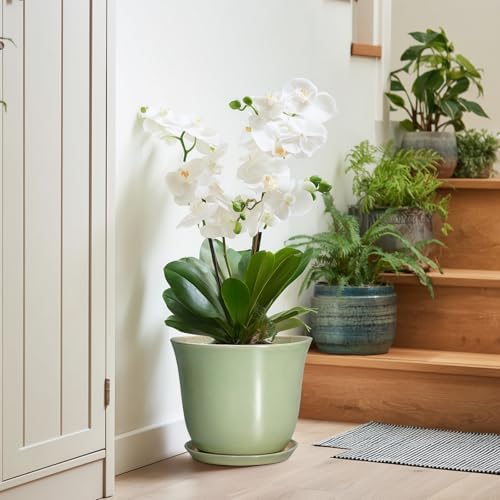 Ceramic Pots for Plants - 10 Inch Planter with Drainage Hole and Tray, Round Large Planter for Indoor Plant Outdoor, Modern Flower Pot, Garden Office Home Decor, Gift for Plant Lover, Green - Image 6