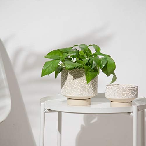 UBEE Planter Ceramic Flower Pot for Indoor Plants | 5.5 inch + 4.9 inch Plant Pots with Drainage Hole and Saucer for Aloe, Snake Plants, Pothos, Orchid, Beige with White Glaze Dot - Image 3