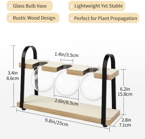 3-Bulb Plant Propagation Station, Glass Vase Terrarium, Retro White - Image 2