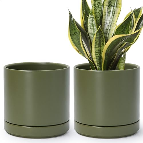 D'vine Dev 2-Pack Ceramic Pots with Saucers, Olive, 6.5 in, 94-V-C-J by DvineDevPlanterPotsandStand