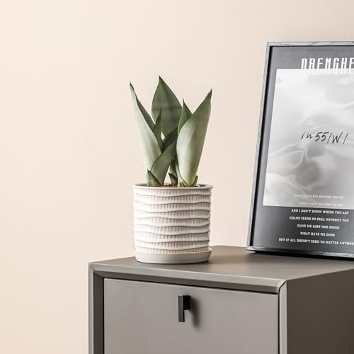 5.8 Inch Plant Pot: Ceramic Planter with Drainage Hole & Saucer - Cream White Flowerpot for Indoor & Outdoor Plants - with Separate Tray for Home & Office - Wave Embossed Design - Image 4