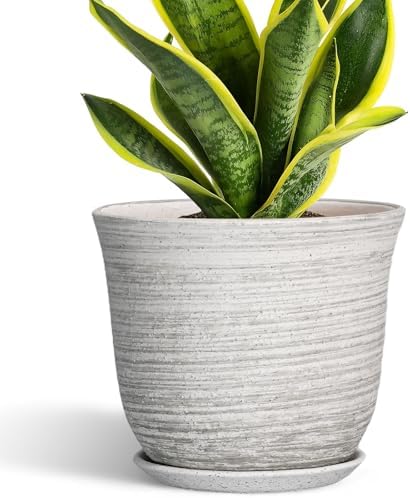 Ceramic Plant Pots - 8 Inch Plant Pot with Drainage Hole and Saucer, Round Flower Pots for Indoor Outdoor, Modern Planter, Decorative Planters, Home Apartment Decor, Gardening Gifts, Grey by SUNPOTFOR