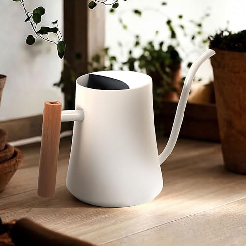 Small Watering Can Indoor Plants Metal Watering Cans 1L/34oz (White) - Image 4