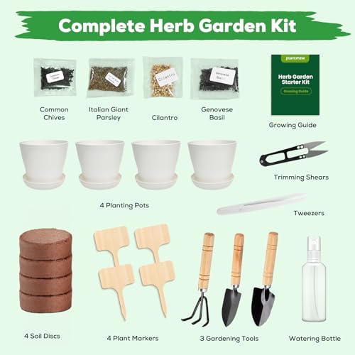 Indoor Herb Garden Starter Kit - Mothers Day Gifts - 4 Non GMO, Heirloom Culinary Herb Seeds, Unique Gardening Gift for Women, Mom, Her, Birthday, Housewarming, Plant Lovers - Image 2