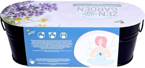 Buzzy Seeds Chamomile & Lavender Zen Grow Kit, Metal Windowsill Planter - Image 3