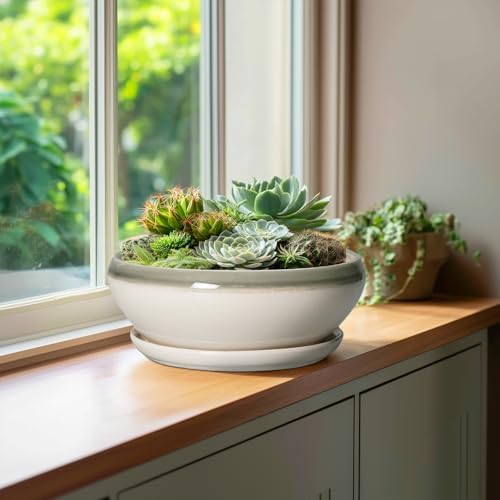 SQOWL Bonsai Pots Ceramic - 10 Inch Succulent Planters for Indoor Plants Outdoor, Shallow Round Planter with Drainage Hole and Saucer, Ceramic Planter Bowl, Office Decor, Gifts for Women, Gray-Beige - Image 4