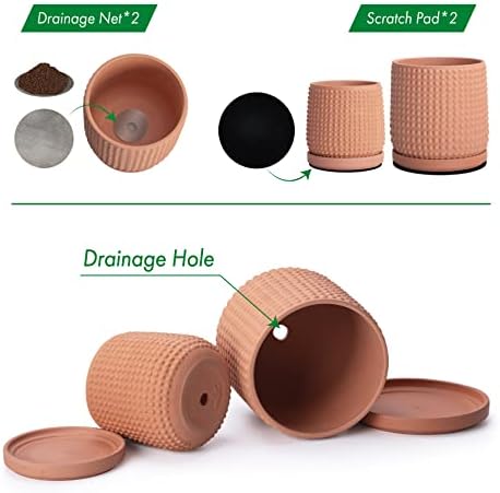 D'vine Dev Beaded Terracotta Planter Pots, 4/6 in,Terra Cotta, 27-D-U-7 - Image 4