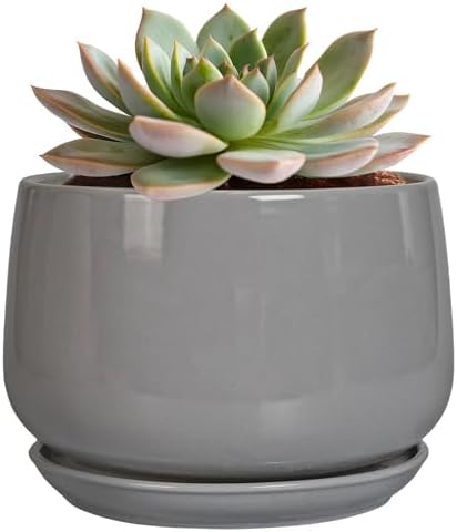 G EPGardening Ceramic Pot for Plants, 6 Inch, Gray by GEPGardening