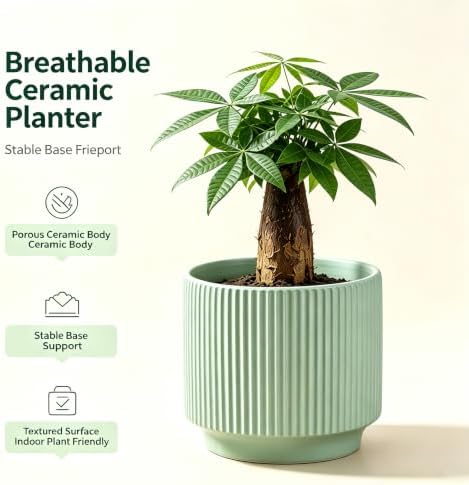 Ceramic Pots 5.1 Inch Fluted Green Ceramic Planters Round Flower Pots with Drainage Hole for Desk Modern Office Living Room Table Shelf Home Indoor Outdoor Decor (Green, Medium) - Image 4