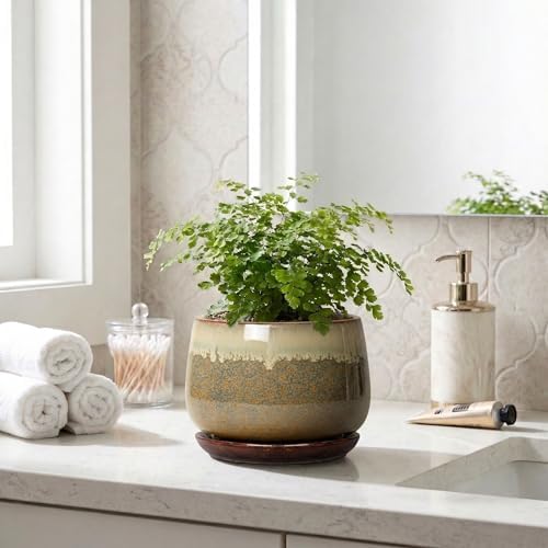 6 Inch Plant Pot - Ceramic Pots for Indoor Plants, Round Small Succulent Planter with Drainage and Saucer, Decorative Flower Pot, Office Room Decor, Gifts for Plant Lovers, Brown-Beige - Image 7