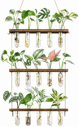 3 Tier Wall Hanging Propagation Stations with 15 Glass Test Tubes, Plant Terrarium Propagation Tubes Planter for Hydroponic Cuttings, Window Decor Gift for Plant Lovers by MonsiterQE