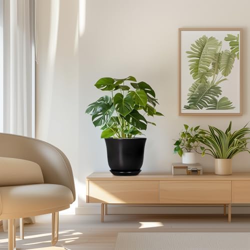 8 Inch Plant Pot - Ceramic Pots for Plants with Drainage Hole and Saucer, Round Planter for Indoor Outdoor, Modern Flower Pot, Gifts for Plant Lovers, Home Room Garden Porch Decor, Black - Image 7