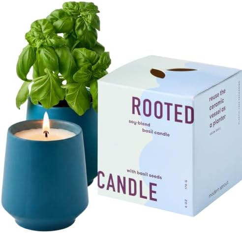 Modern Sprout Soy Candle Planter - Grows Basil by ModernSprout
