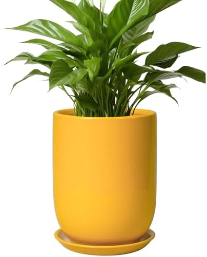 Plant Pot 8 Inch - Ceramic Plant Pot with Drainage Hole and Saucer Large Planter for Indoor Plants Outdoor Modern Flower Pot for Home Garden Decor Yellow by SUNPOTFOR