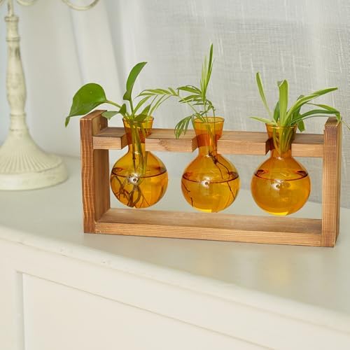 Kingbuy Glass Plant Terrarium Propagation Station - 3 Bulb Colored Vases with Retro Wood Stand Indoor Garden Planter - Wall Mount Desktop Decor for Home Kitchen Wedding, Plant Lover Gift, Amber - Image 5