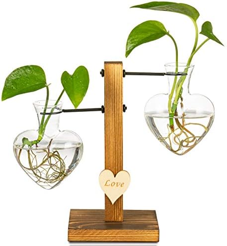 Kingbuy Heart Shaped Glass Hydroponic Vase with Retro Wooden Stand - Desktop Plant Terrarium for Bulb Planter, Water Plant Propagation Glass Vase Pot Planter Flower Desktop Decoration Home Garden by Kingbuy
