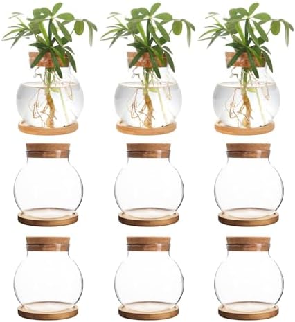 Plant Propagation Station,Hydroponic Glass Container Vase Jars, with Wooden Saucer for Desks, Houses, Garden Decorations, Home Kitchen Decorations and Gifts for Plant Lovers (9) by CHPINDAM