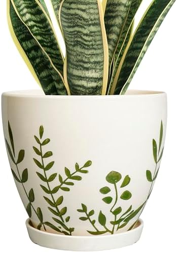 MPotTo Ceramic Pot for Plants 8.2 Inch - Indoor Plant Pot with Drainage Hole and Saucer, Decorative Boho Round Outdoor Planter, Gardening Gifts for Women Men, Room Patio Office Home Decor, White by MPotTo