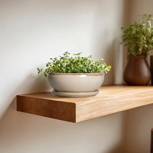 SQOWL Small Bonsai Pots - 6 Inch Ceramic Plant Pots for Succulents, Shallow Planter with Drainage Hole and Saucer, Round Planters for Indoor Outdoor Cactus Plants, House Decor, Birthday Gifts, Beige - Image 5