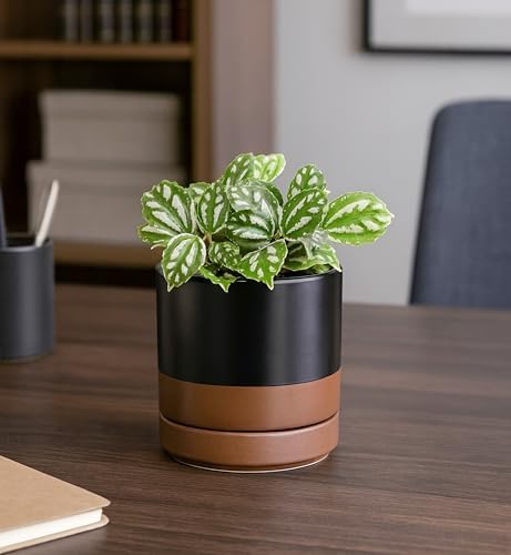 D'vine Dev 4.7 Inch Ceramic Planter Pot, Black/Tan, 94-O-B-7 - Image 5