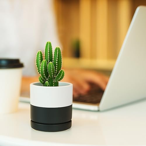 D'vine Dev 3.5 Inch Ceramic Planter Pot, Black White Two Tone, 94-O-A-L - Image 6