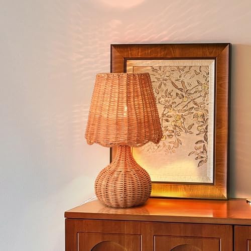 Ziqqeelam Rattan Table Lamp for Bedroom, Boho Small Table Lamps for Bedside, Farmhouse Mini Small Table Lamps for Small Spaces for Kitchen Counter, Bookshelf, Nightstand, Bedroom, Kids Dorm by Unknown
