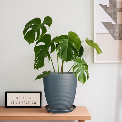 8 Inch Ceramic Plant Pot Large Planter Pot for Plants Indoor Outdoor Glaze Flower Pot with Drainage Hole and Saucer Gray - Image 2