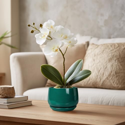 G EPGardening 4 inch Plant Pots - Small Ceramic Planter with Drainage Hole & Tray, Succulent Pots Indoor Outdoor, Round Modern Planter, Decorative Flower Pot, Desk Decor, Gifts for Plant Lover, Green - Image 5