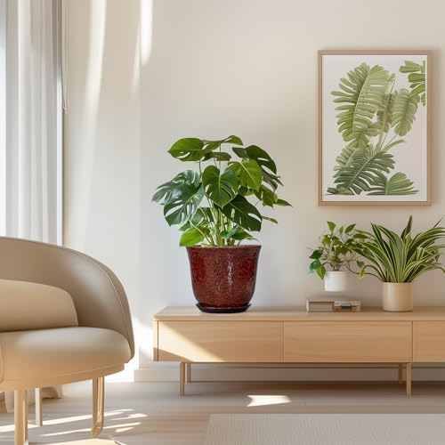 Ceramic Planter - 8 Inch Plant Pot for Indoor Outdoor, Ceramic Flower Pots with Drainage Hole and Saucer, Round Planter, Decorative Plant Pot, Room Home Apartment Decor, Gift for Women, Red - Image 7