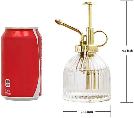 Glass Plant Mister Spray Bottle, Vintage Plant Water Spritzer, Succulent Watering Bottle with Gold Top Pump, Decorative Glass Sprayer Mister Small Watering Can for Indoor Houseplant - Clear - Image 2