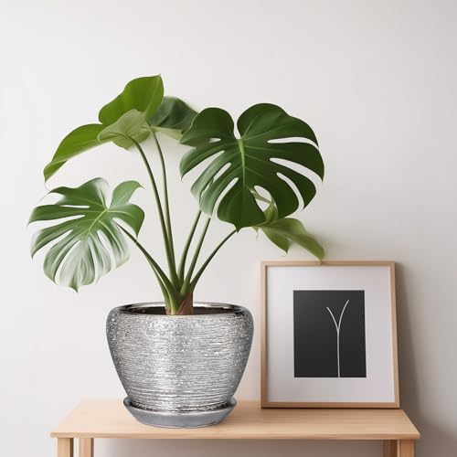 Ceramicfor Ceramic Planter - 6 Inch Plant Pot Indoor with Drainage Hole and Saucer Outdoor Pot for Plants Round Decorative Planter Modern Mid-Century Flower Pot for Office Decor Silver - Image 5